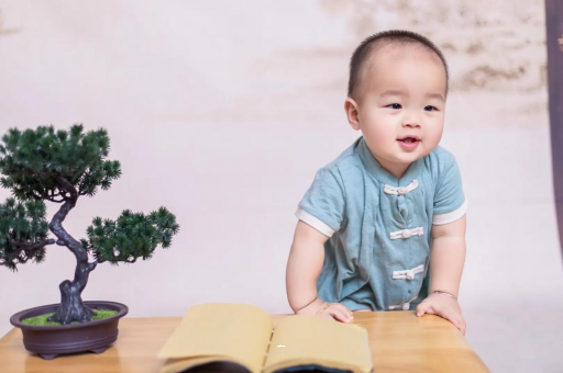 沅江可爱的企鹅宝宝
